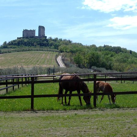 Sporting Hotel San Felice Illasi Экстерьер фото